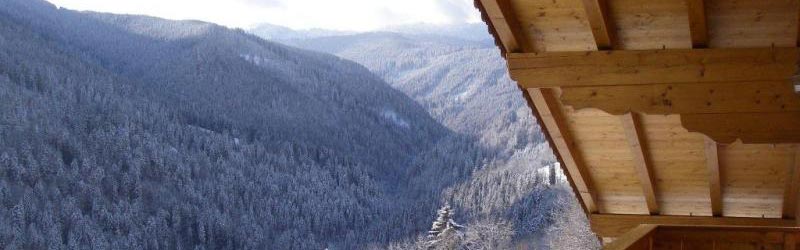 Das Salzburger Saalachtal Gasthof Hintergfoell Balkon